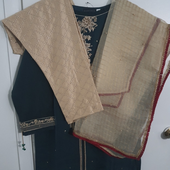 Indian Pakistani dress - Picture 4 of 5